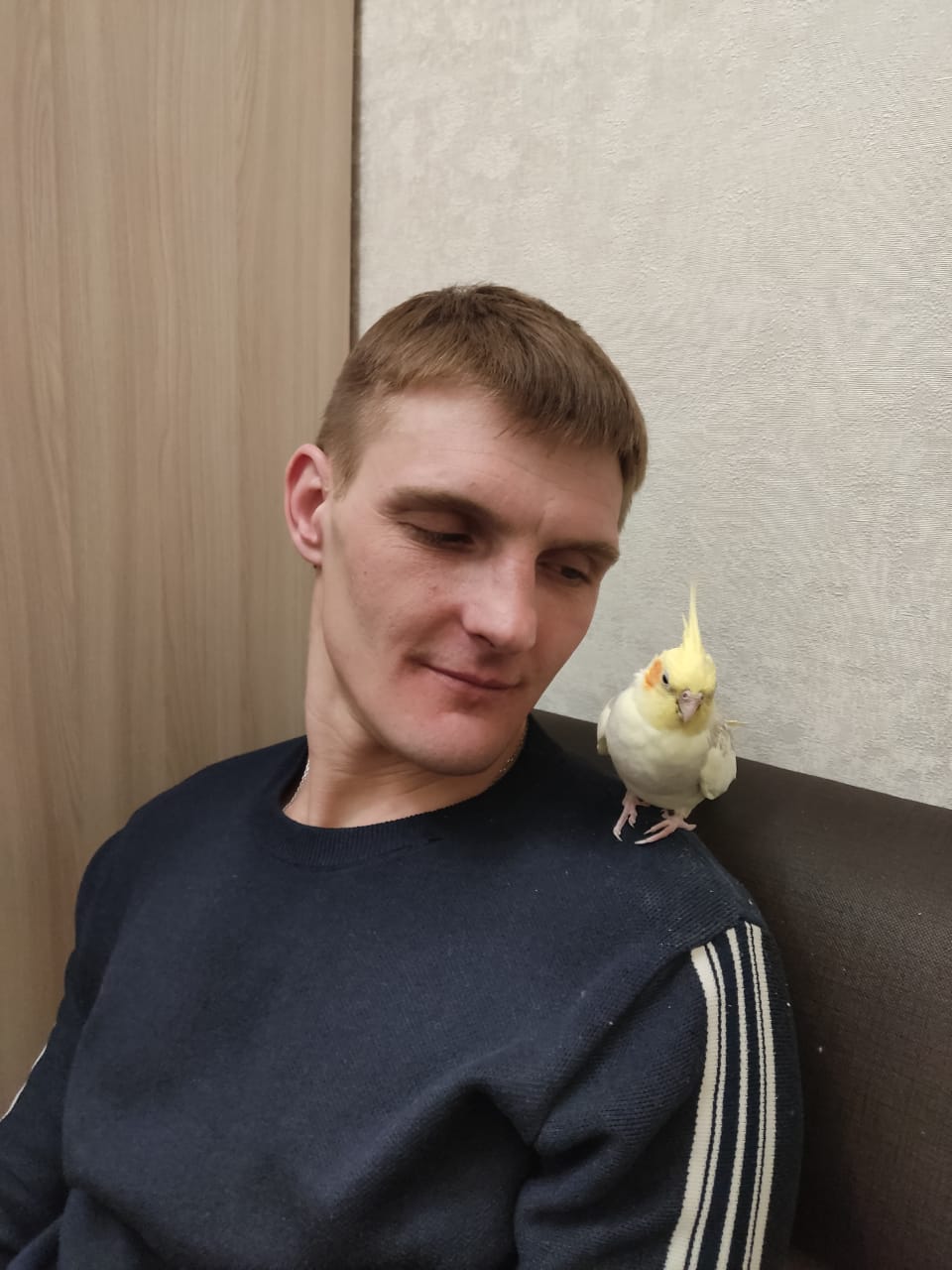 Мацко Вячеслав Олегович